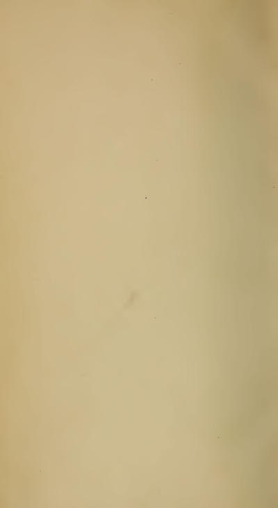 Image of page -3